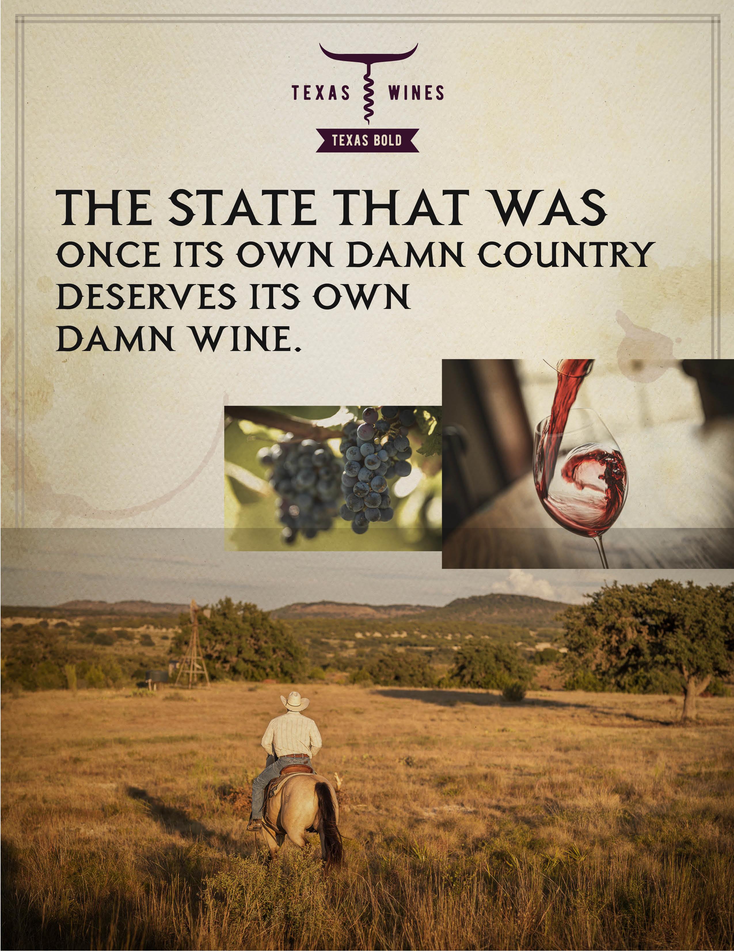 Texas Wines - Damn Wine